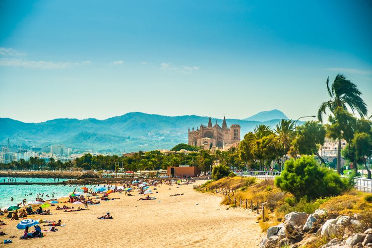 11 Free Things To Do In Palma de Majorca
