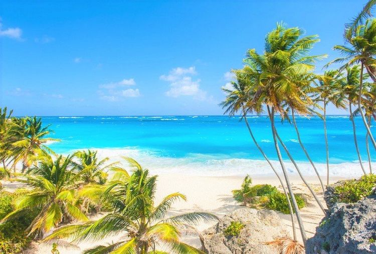 Escape the Showers, Spend April in Barbados 