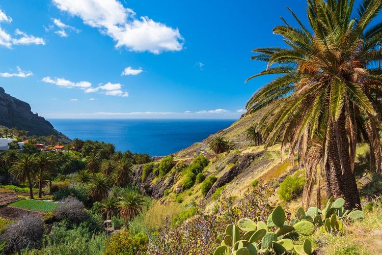 7 Family Friendly Activities In The Canary Islands