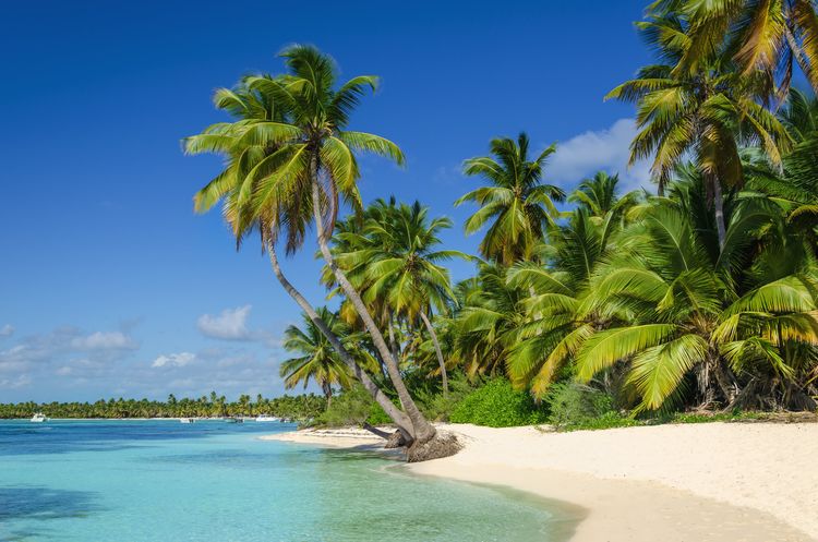 The 5 Best Beaches In The Dominican Republic