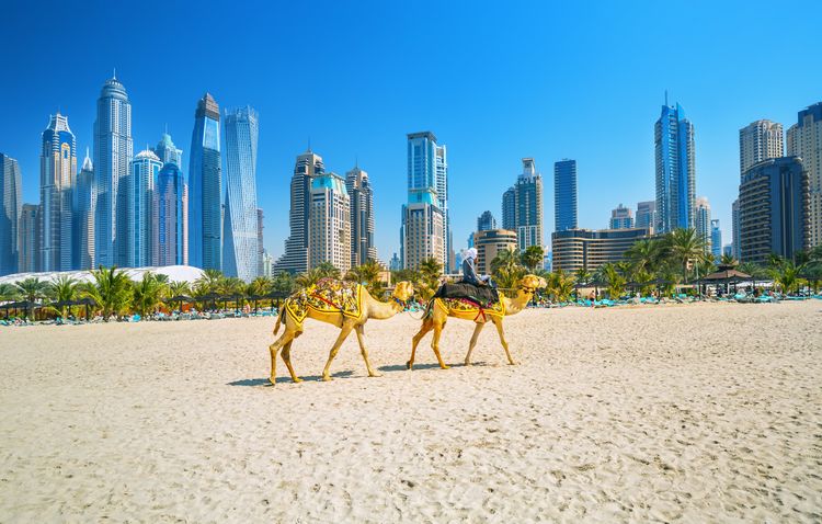 8 Free Things To Do In Dubai