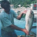 Apartments Dugi otok