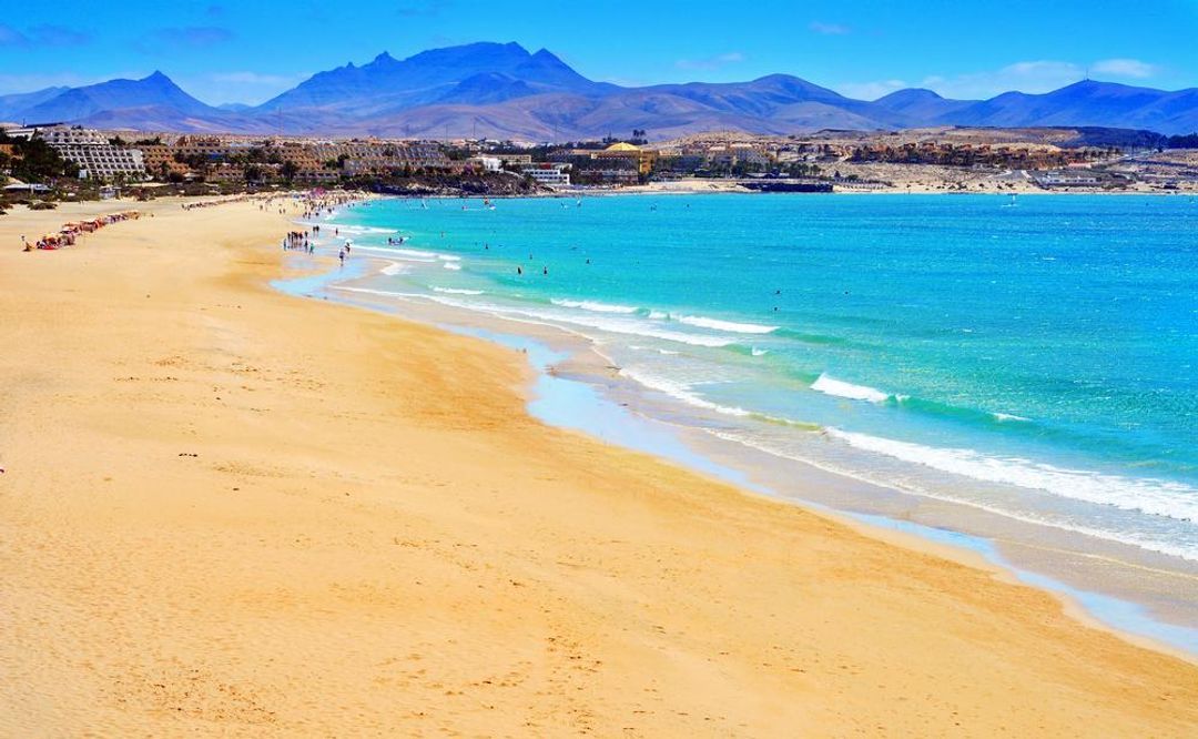 Make the most of the idyllic beaches of Fuerteventura