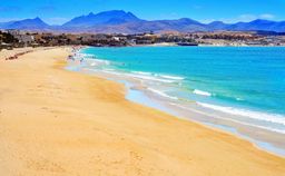 Make the most of the idyllic beaches of Fuerteventura