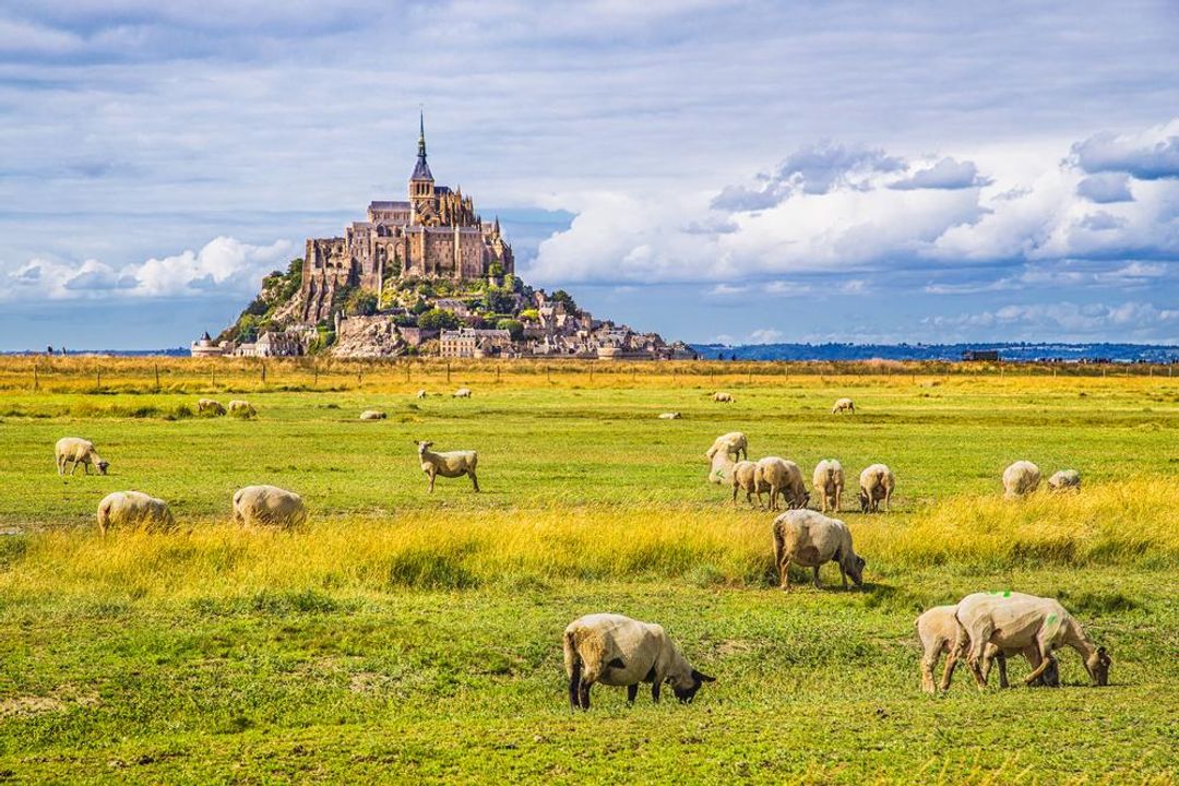 Rural scene in Normandy
