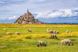 Rural scene in Normandy