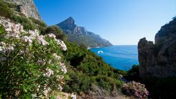 Villas in Sardinia