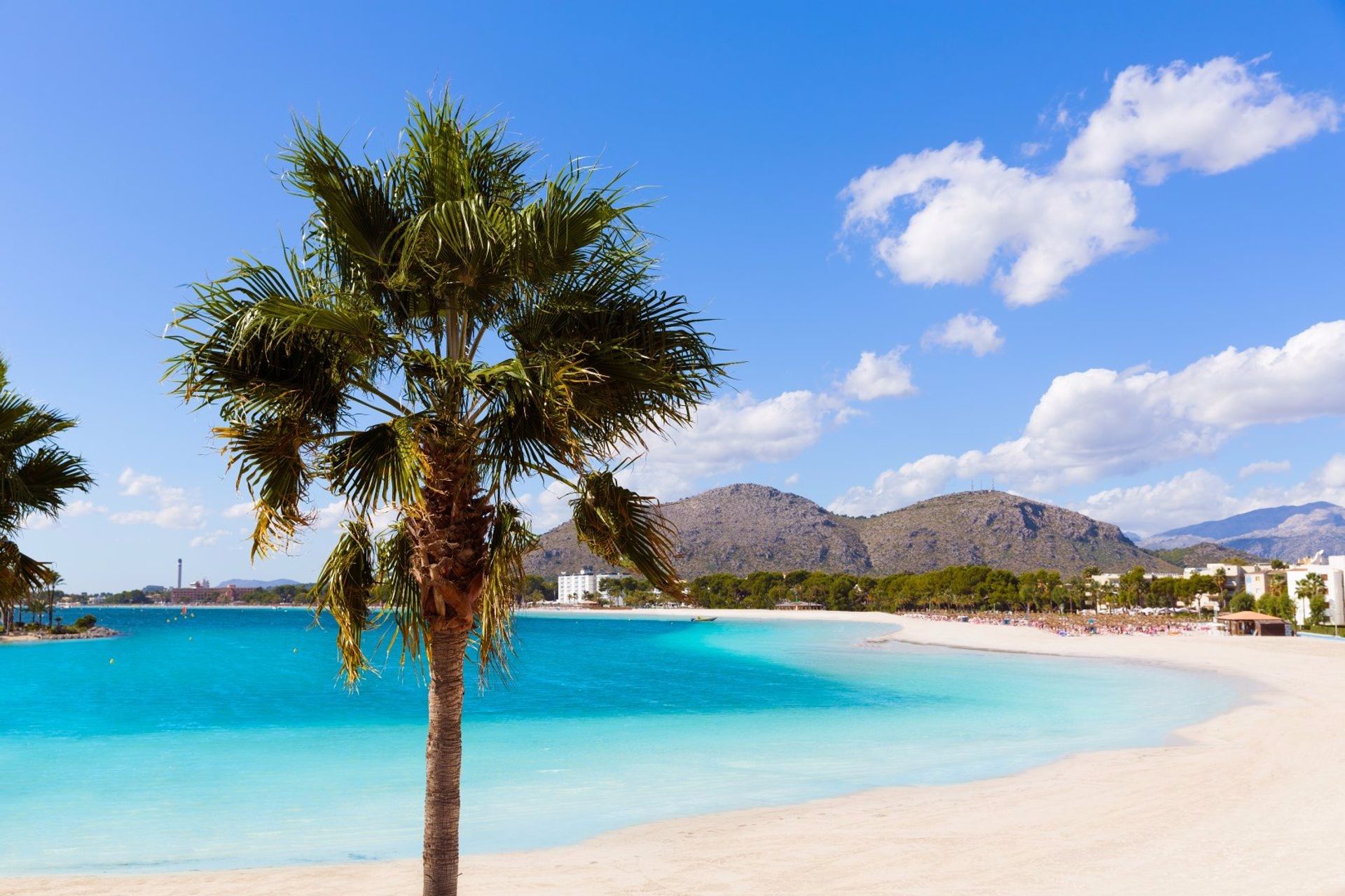 Sweeping view of the golden sands of Playa de Alcudia beach