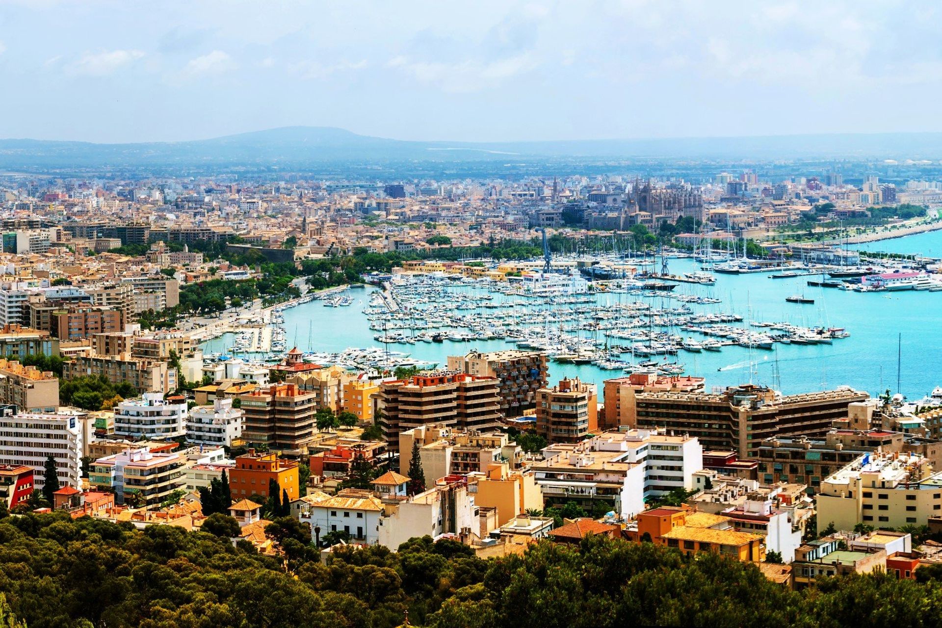 If a vibrant holiday by the coast is what you're after, Majorca's capital, Palma, is the perfect option