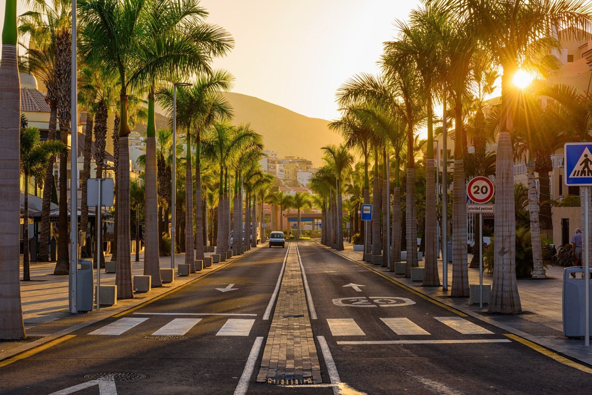 Sun breaking through the palm promenade in Las Américas Avenue 