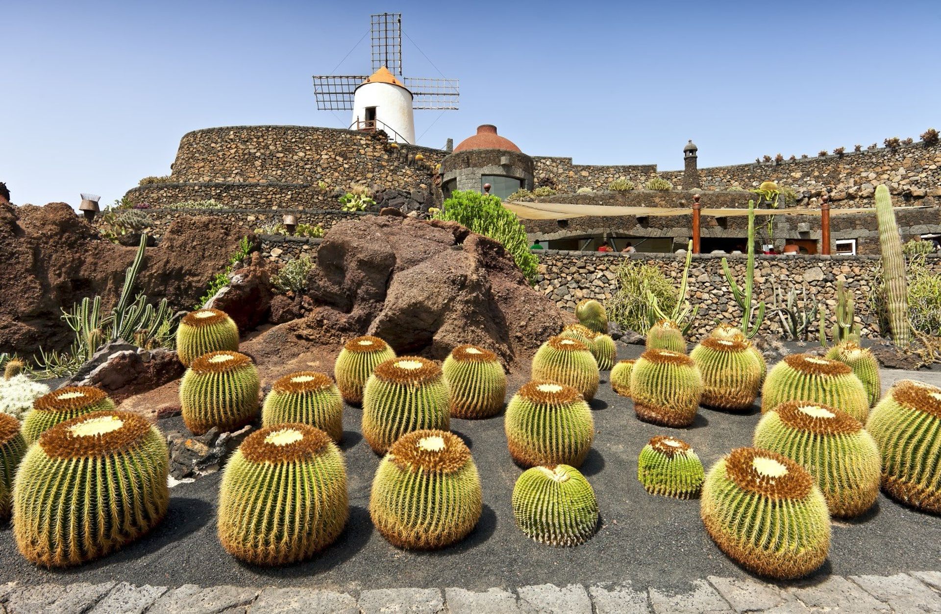 Unusual Jardín de Cactus, the famous cactus garden in Haría district