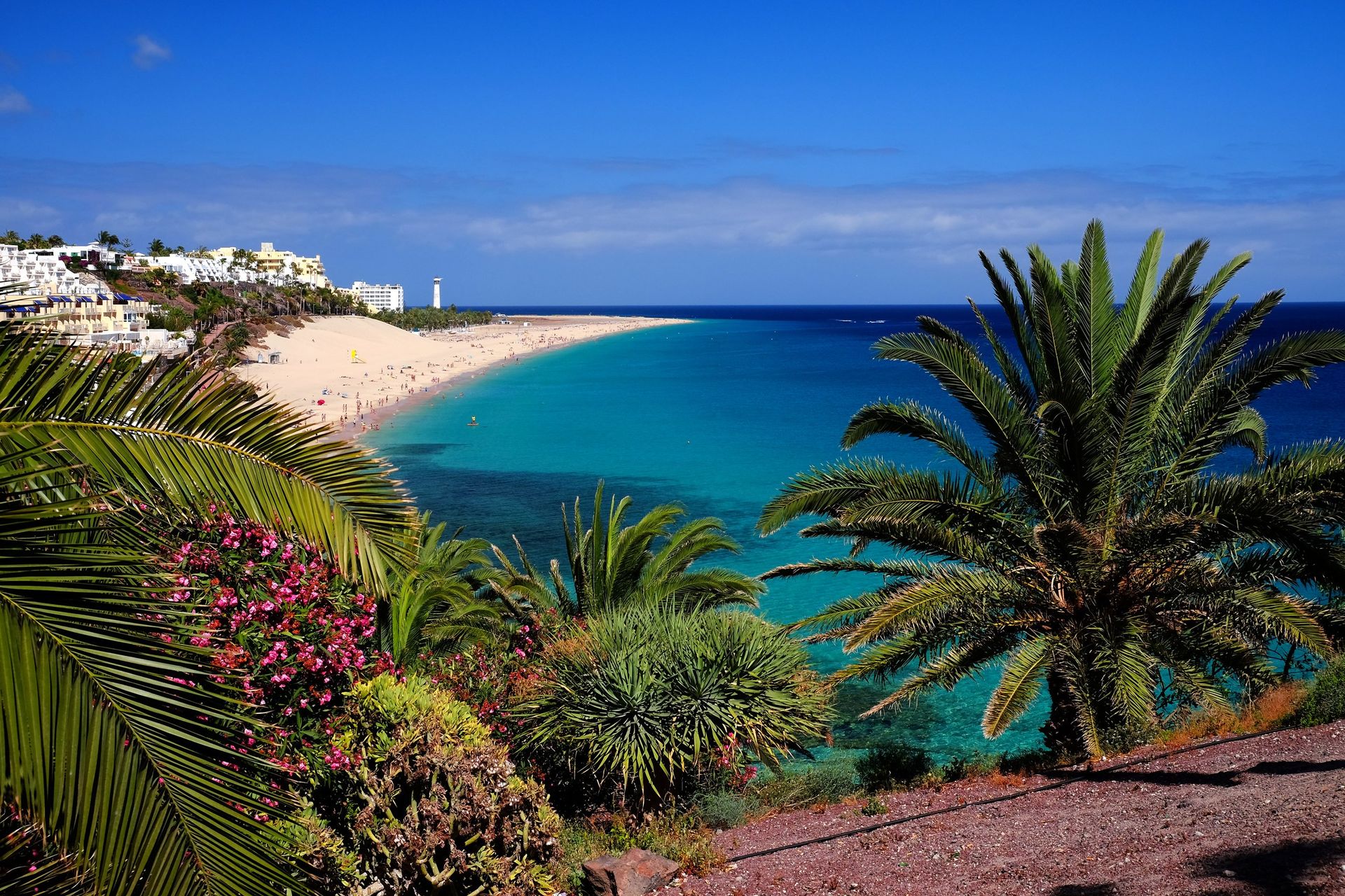 One of Morro Jable's many palm-lined beaches in Jandía district