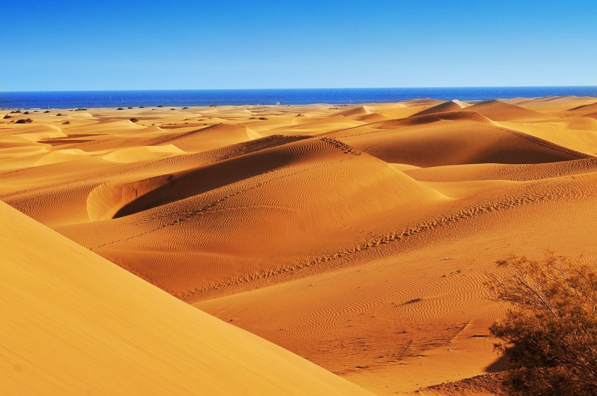 The canary desert dunes stretching under the Atlantic Ocean in the southeastern region of Gran Canaria