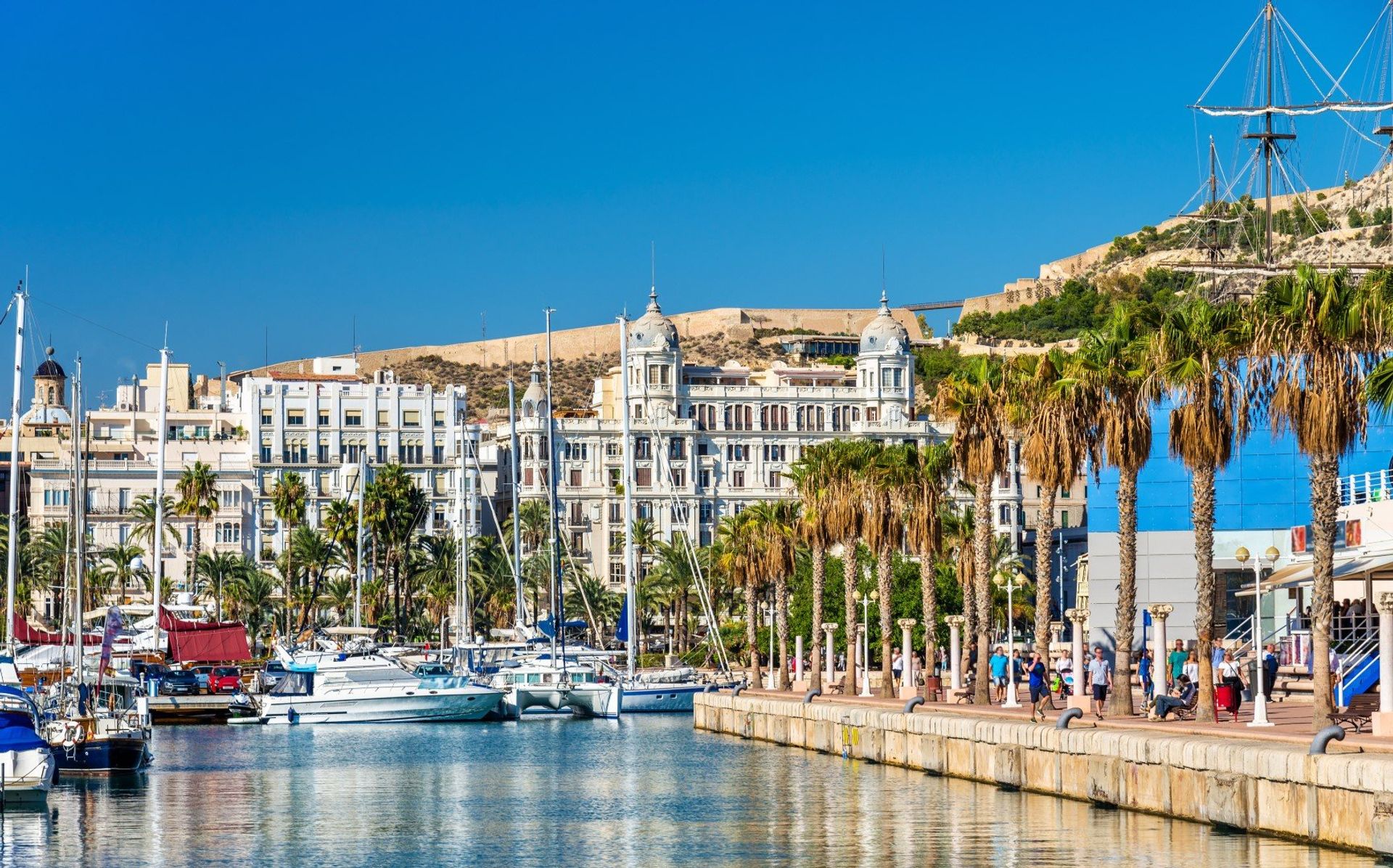 Alicante marina's palm-lined promenade