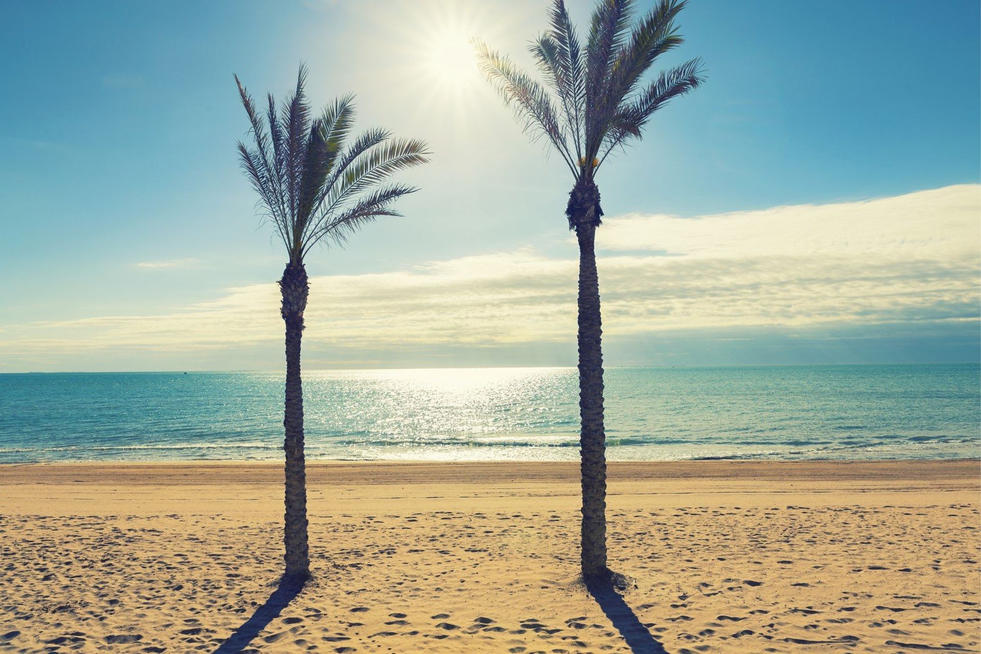 Aaaand relax....! One of Guardamar's many beautiful palm-lined beaches