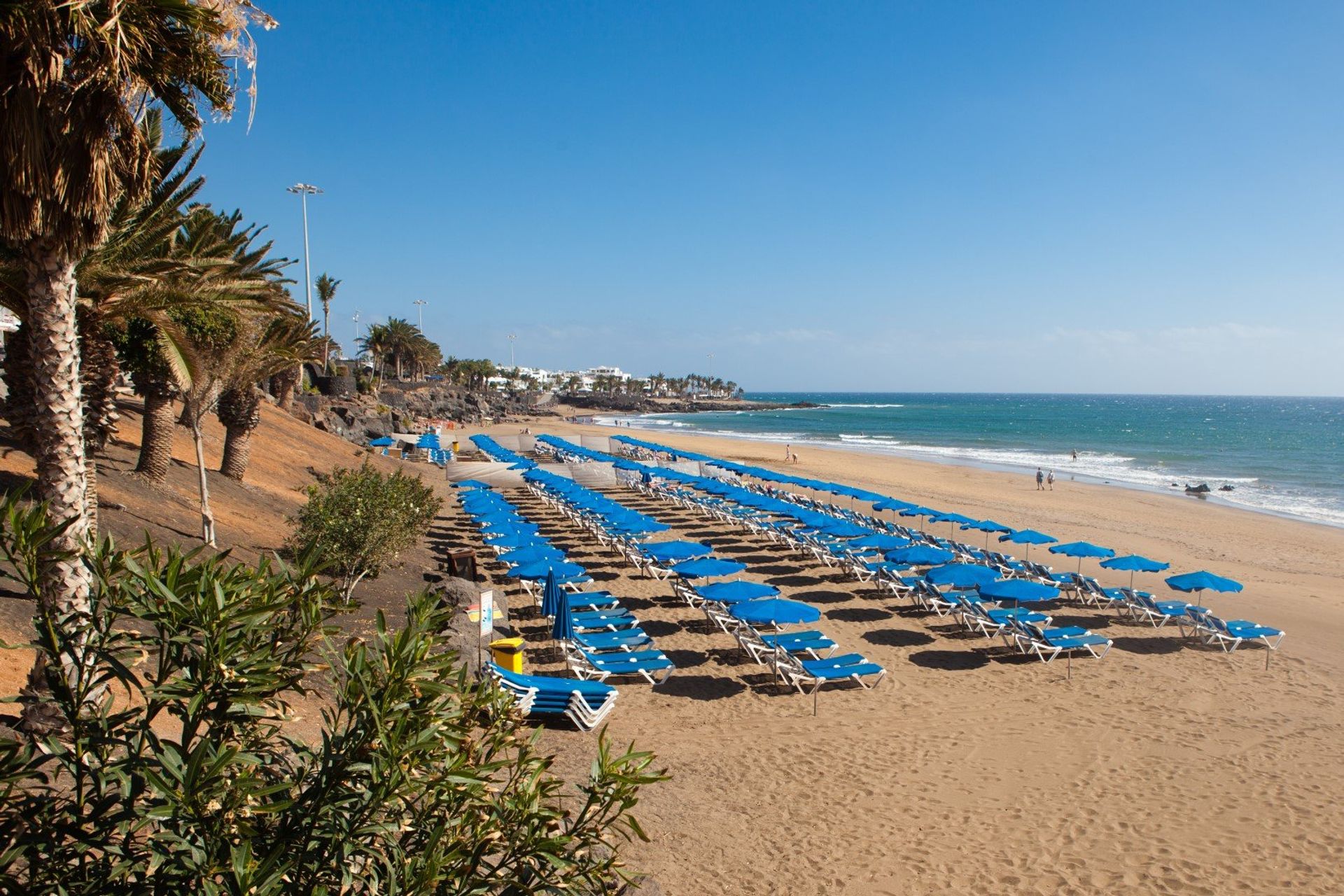Blue sunbeds dotted along the golden sandy coastline of Playa Grande beach