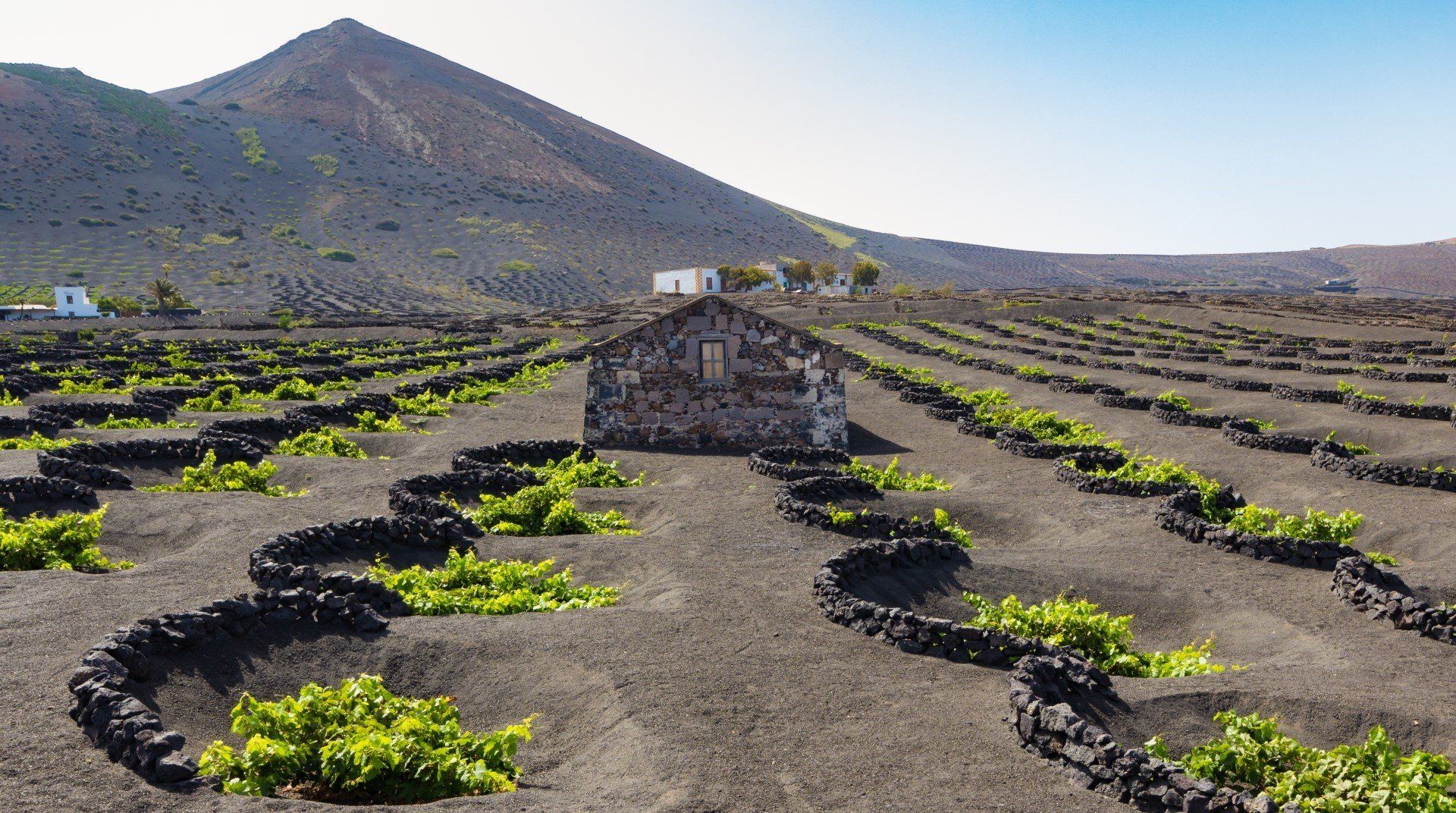 Lanzarote's wine-making region, La Geria, a 10 minute drive from Puerto del Carmen