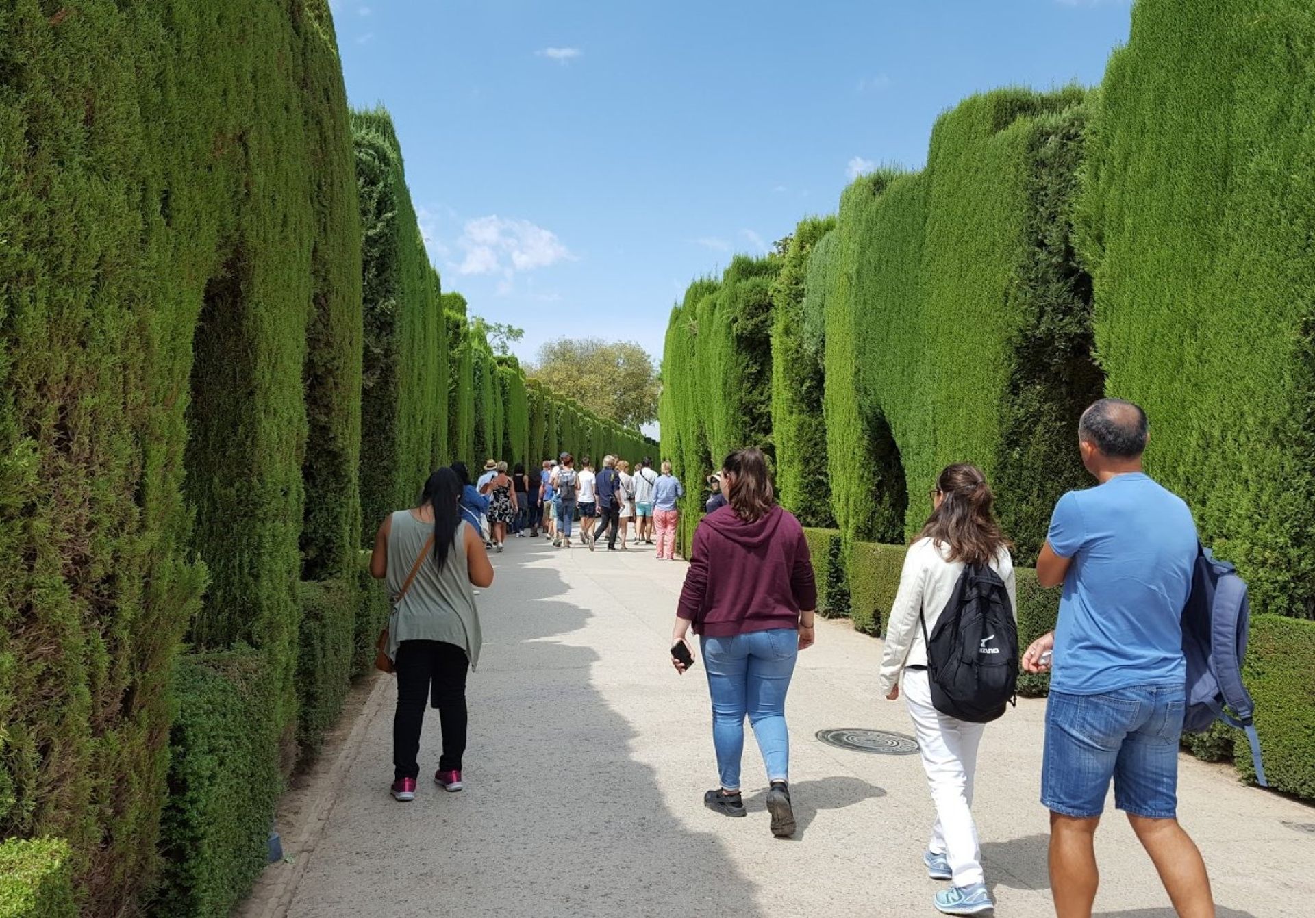 Alhambra Palace garden and its maze of hedges