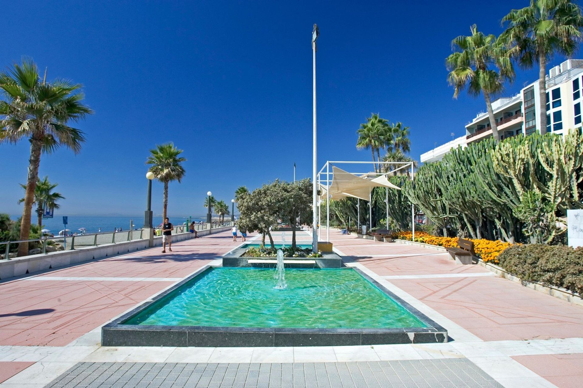 Palm-lined promenade Paseo Maritímo overlooking La Rada beach