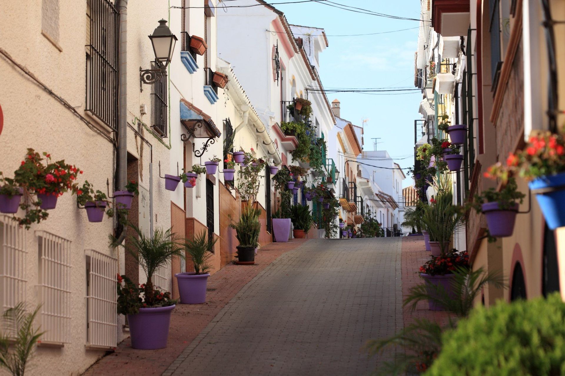 A typical street in Estepona Old Town, adorned with purple flower pots