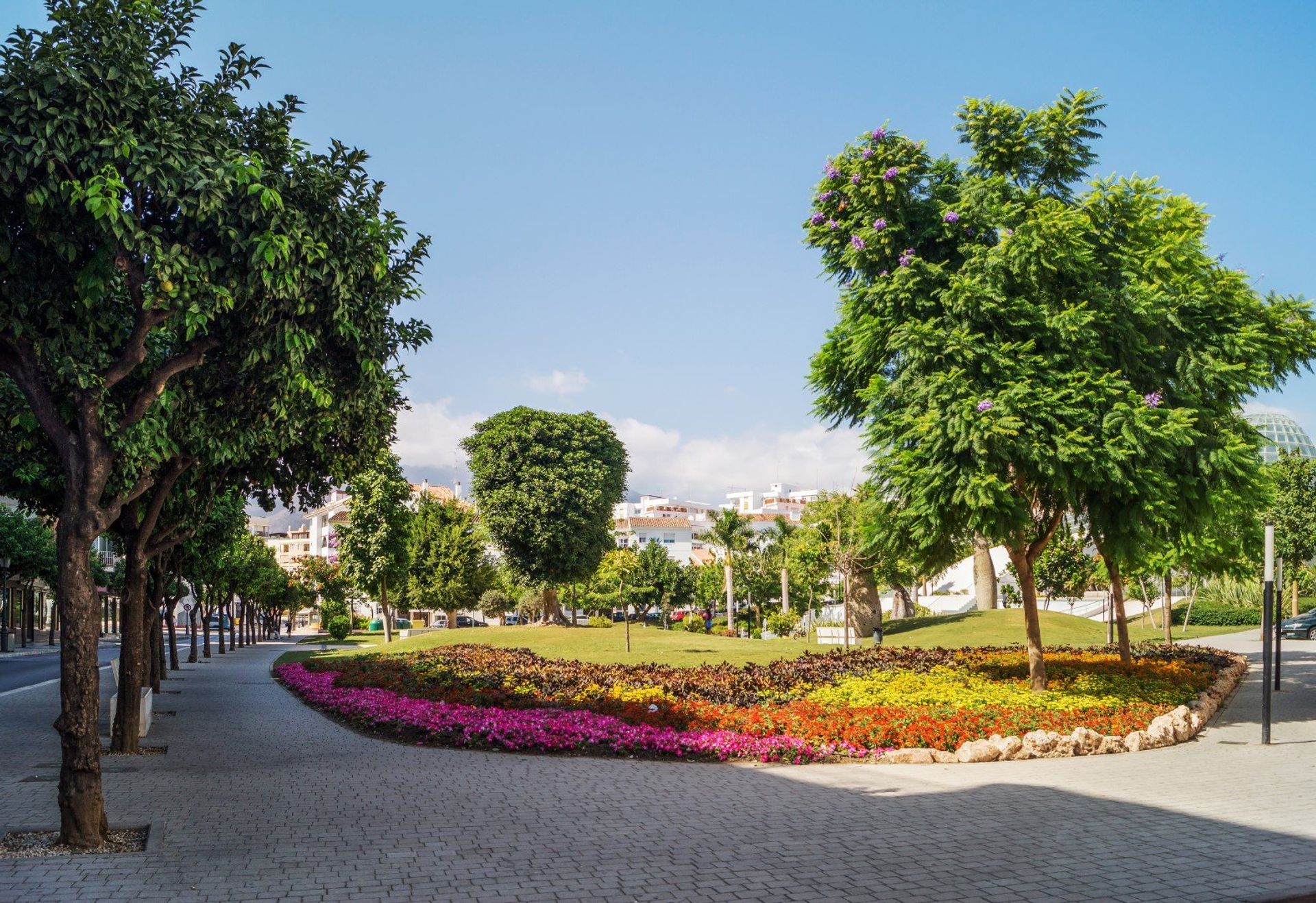 Blossoming flowers near the famous Botanic Park Orchidarium in Estepona
