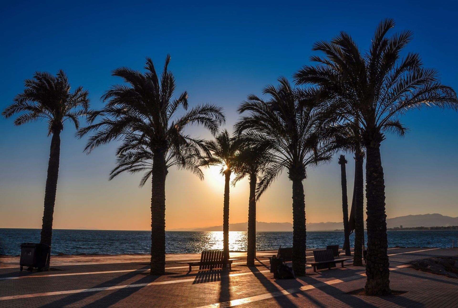 A slice of paradise! Salou's palm-lined beachfront at sunset