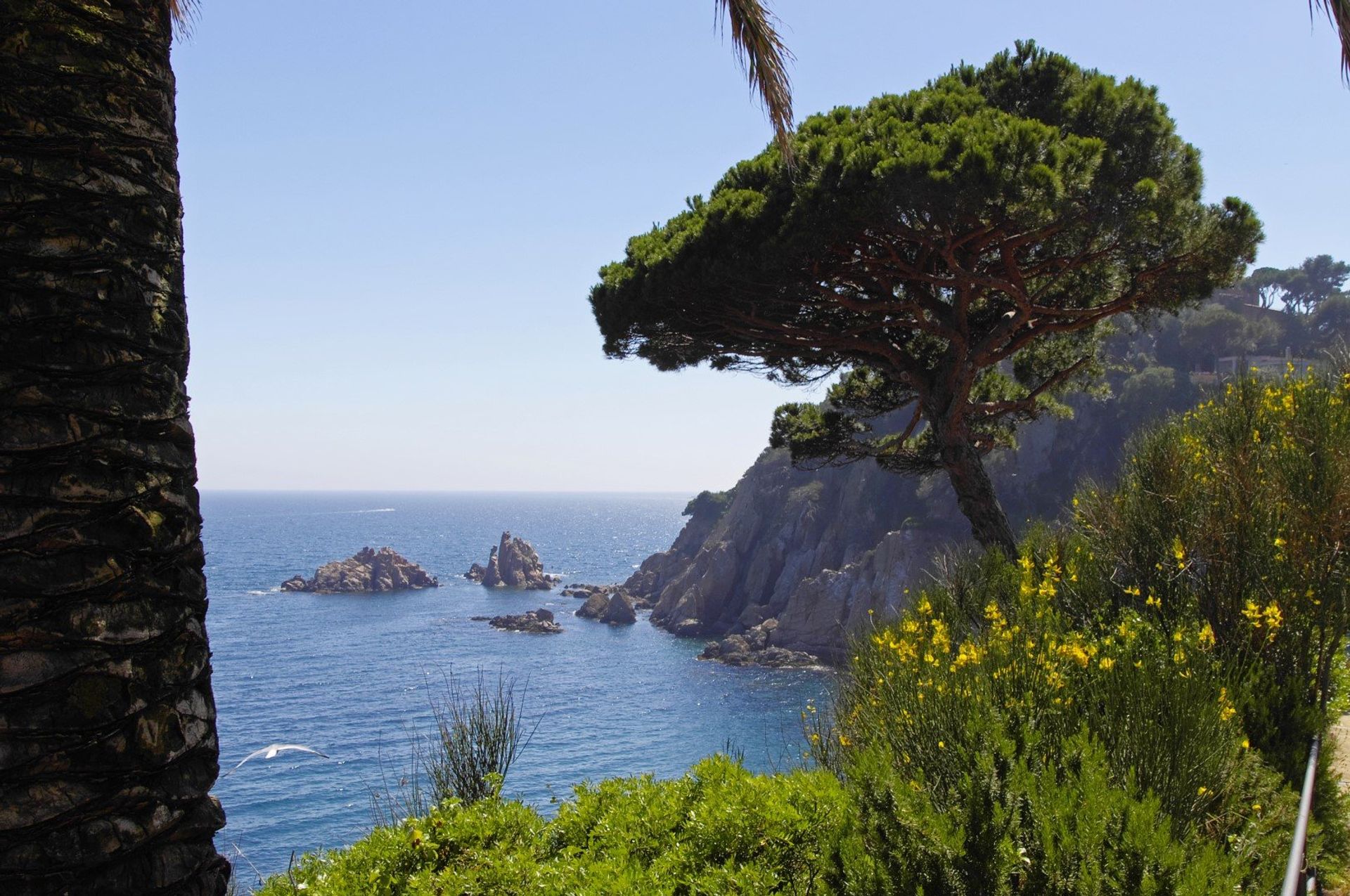 The stunning coast of Girona Province, where the Girona Pyrenees are a paradise for hikers