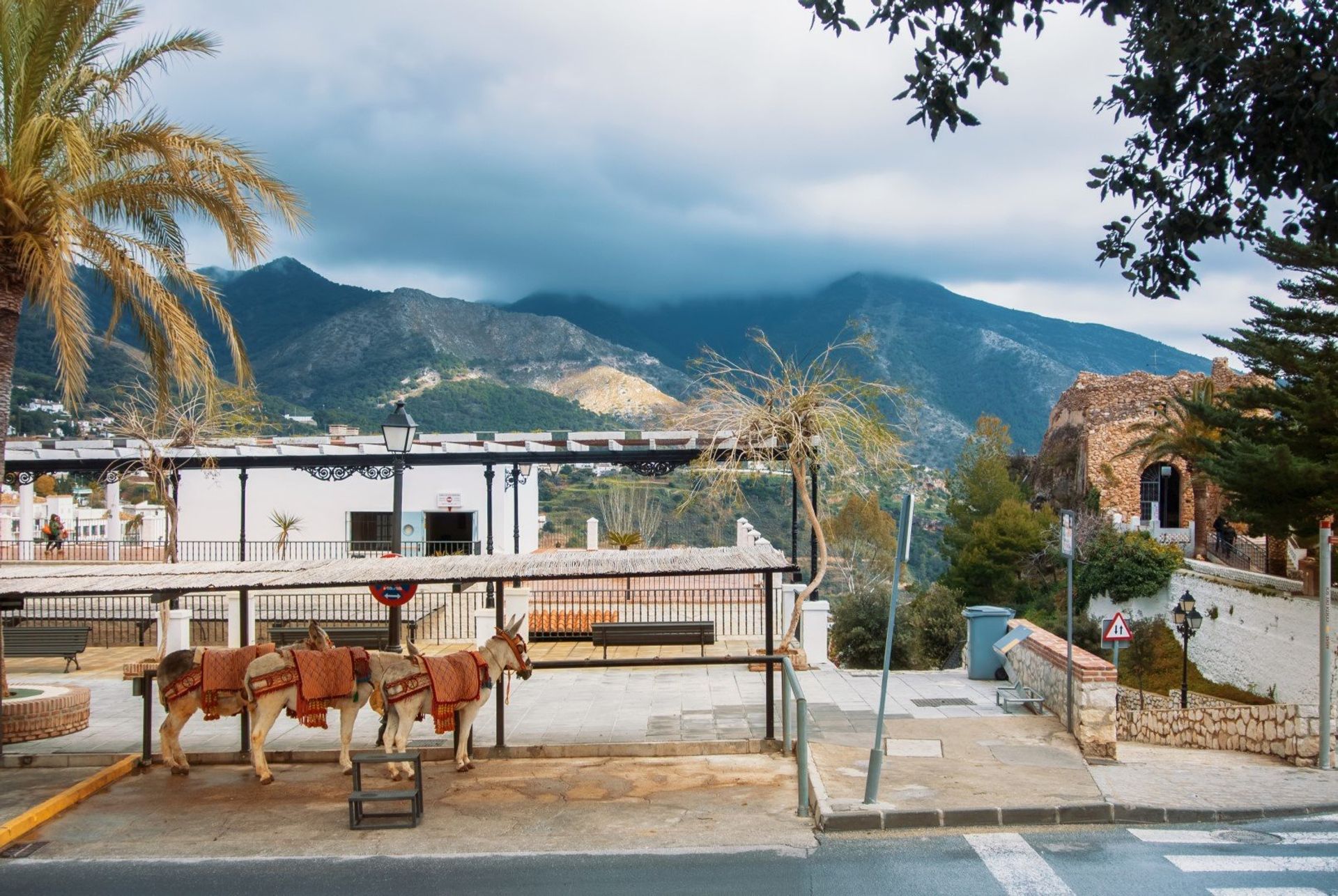 Donkey taxis in the hilltop village of Mijas, 10km north of Fuengirola