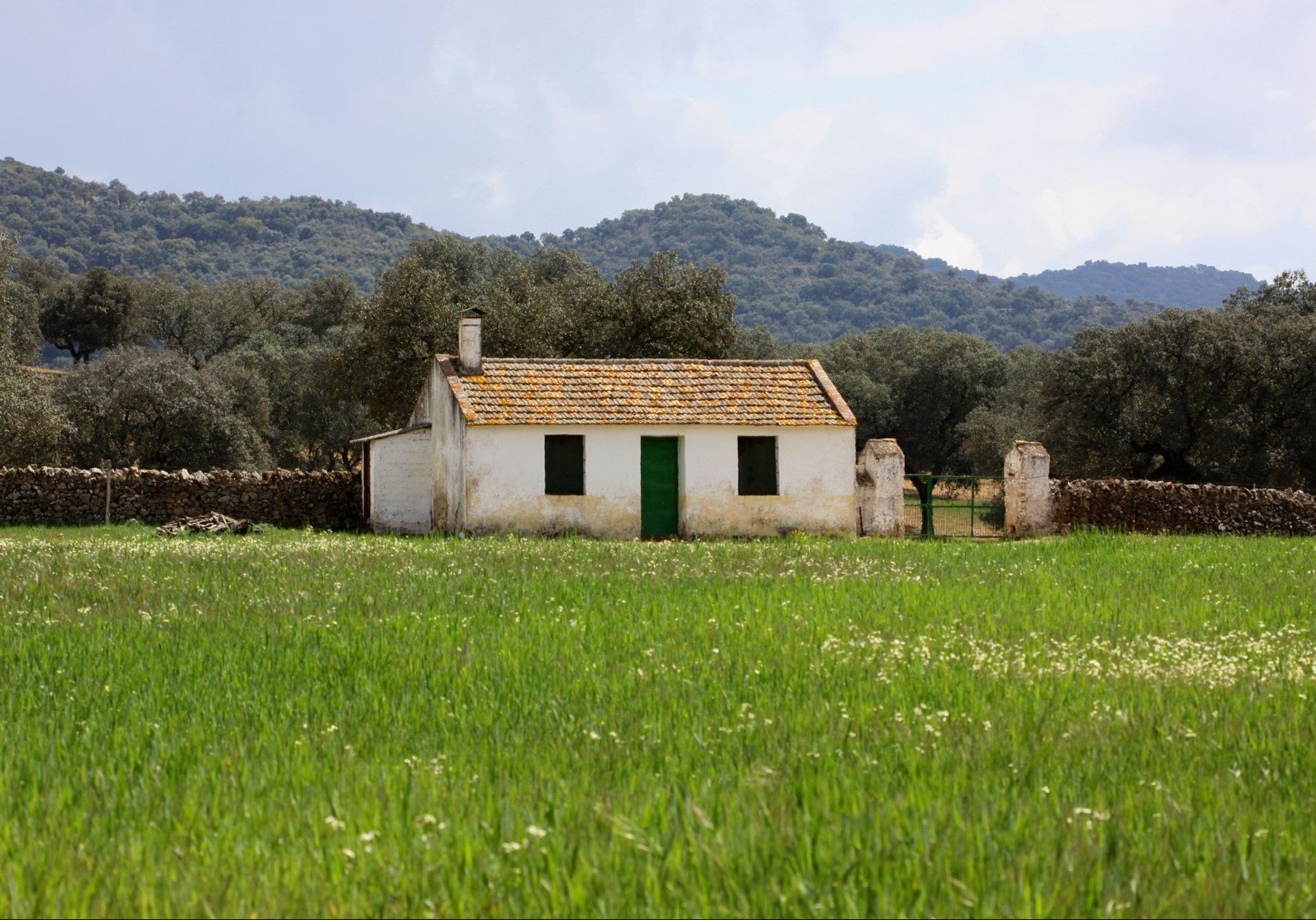 You can sense the peace and quietude of the hilly Andalusian landscape just by looking at this rustic countryside cottage