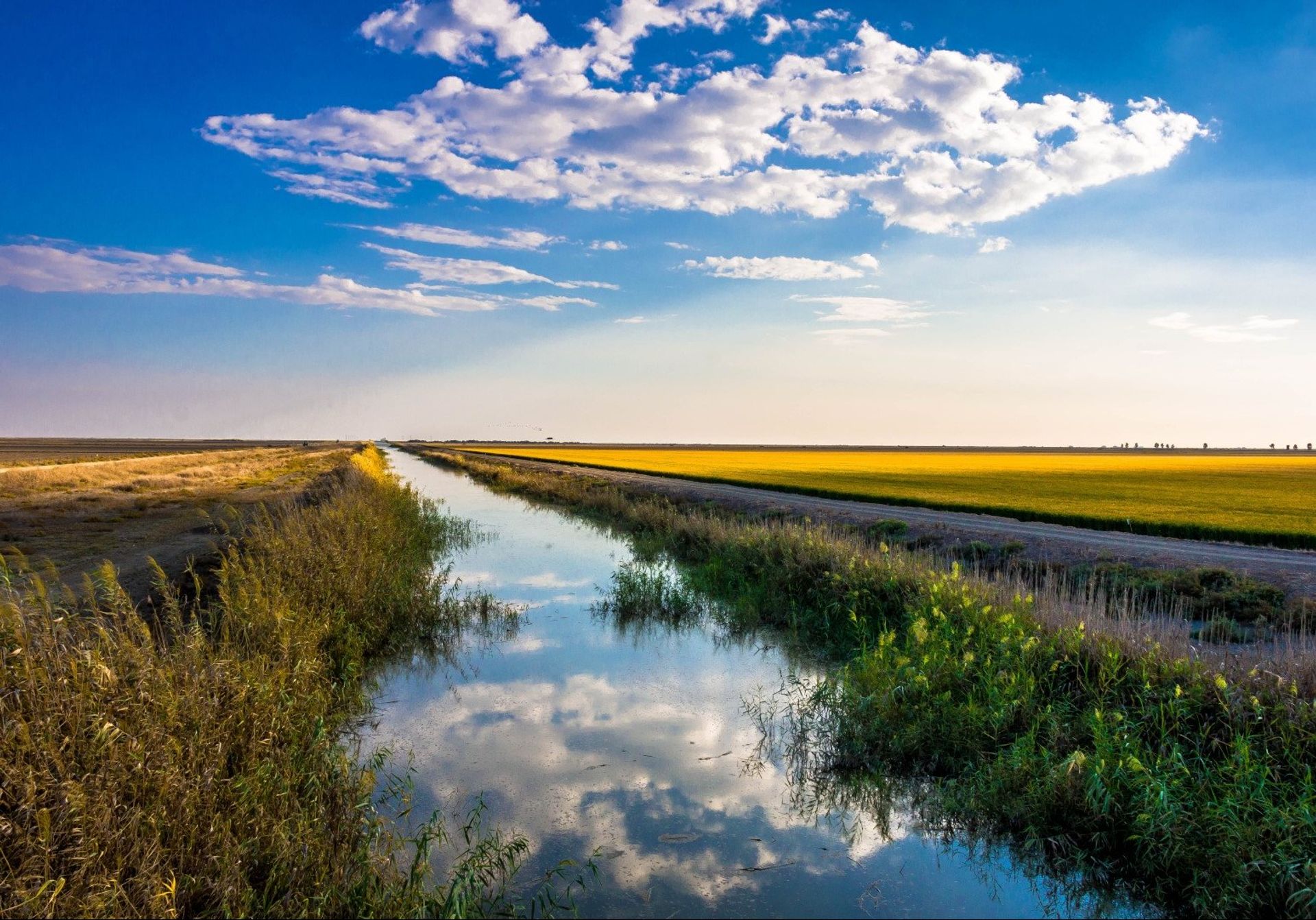 Donana National Park in the southwest of Seville province in an example of the natural beauty this region boasts