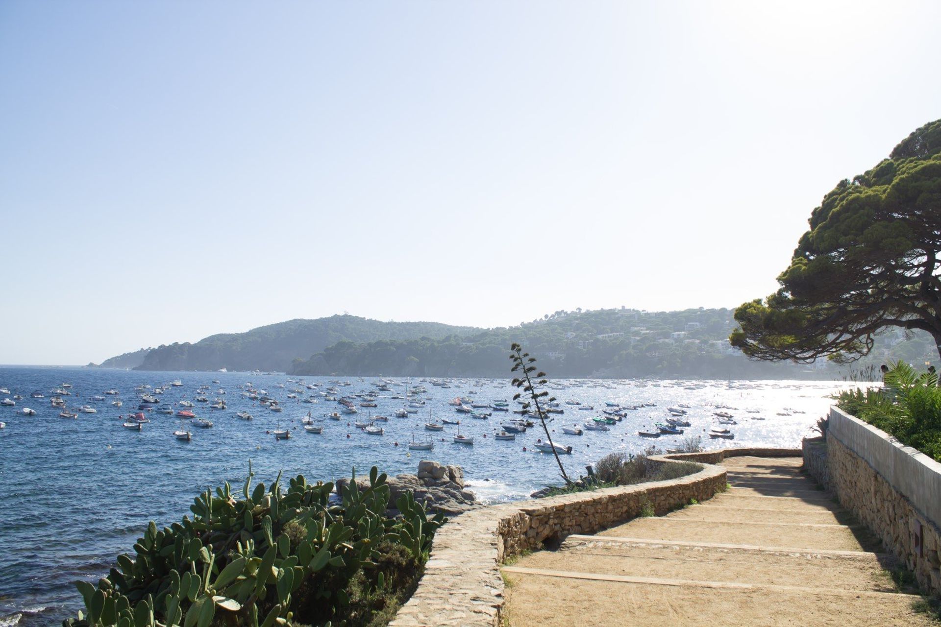 Take a 10-minute coastal walk from Calella de Palafrugell to Llafranc and take in the lush Costa Brava landscape