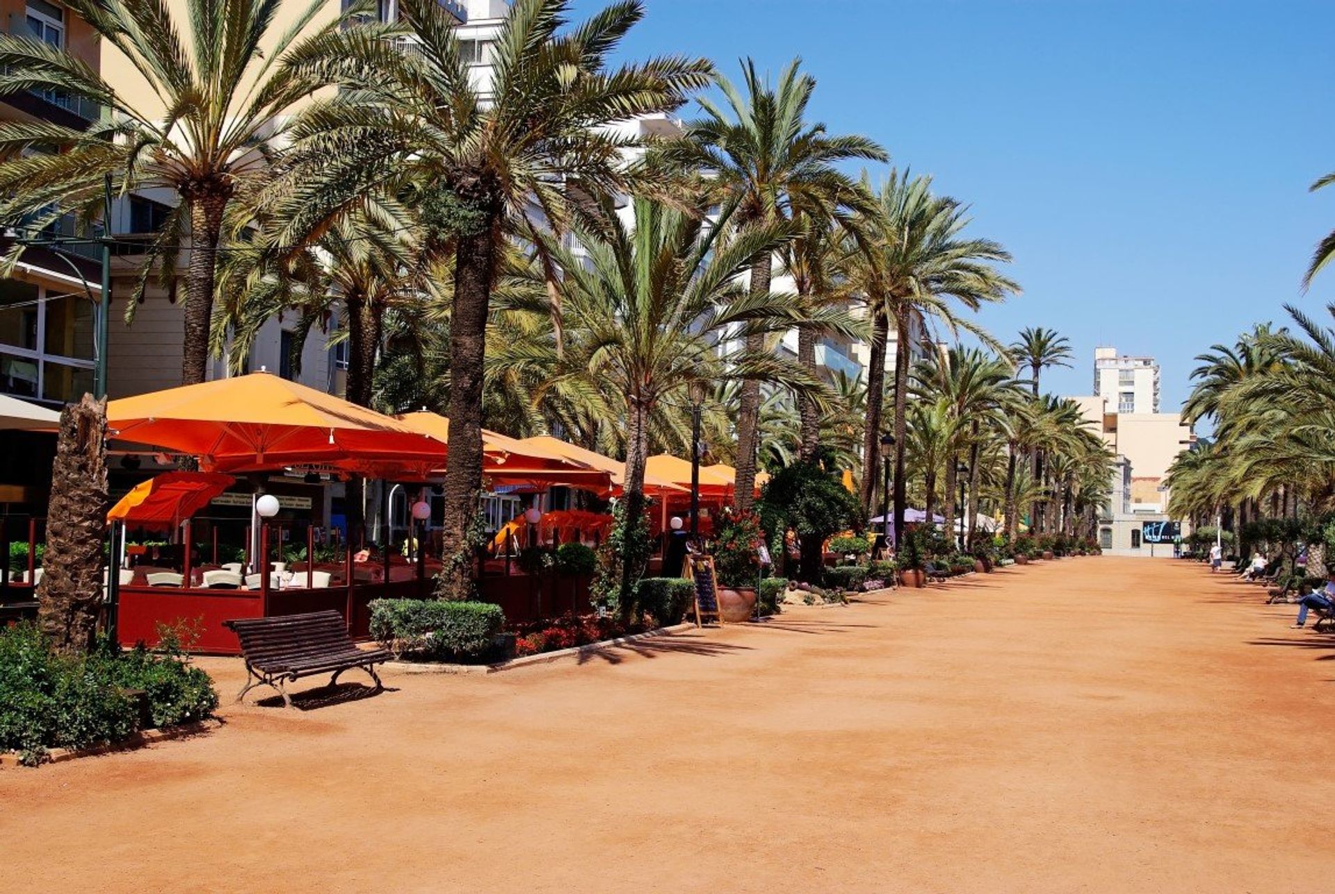 The palm-lined promenade comes to life at night, boasting plenty of bars, clubs and tapas bars