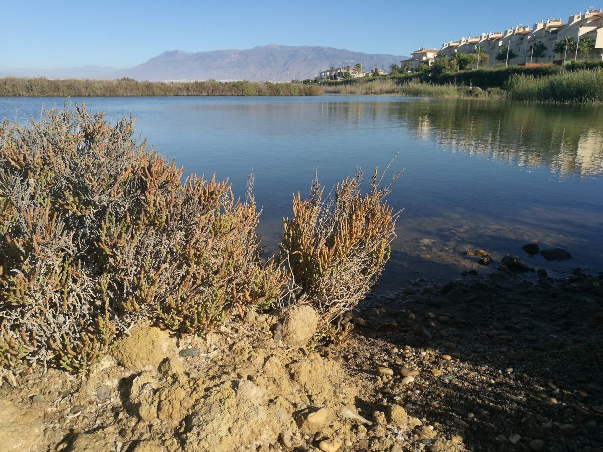 Become one with nature and discover the unique flora and fauna of Punta Entinar-Sabinar Natural Park