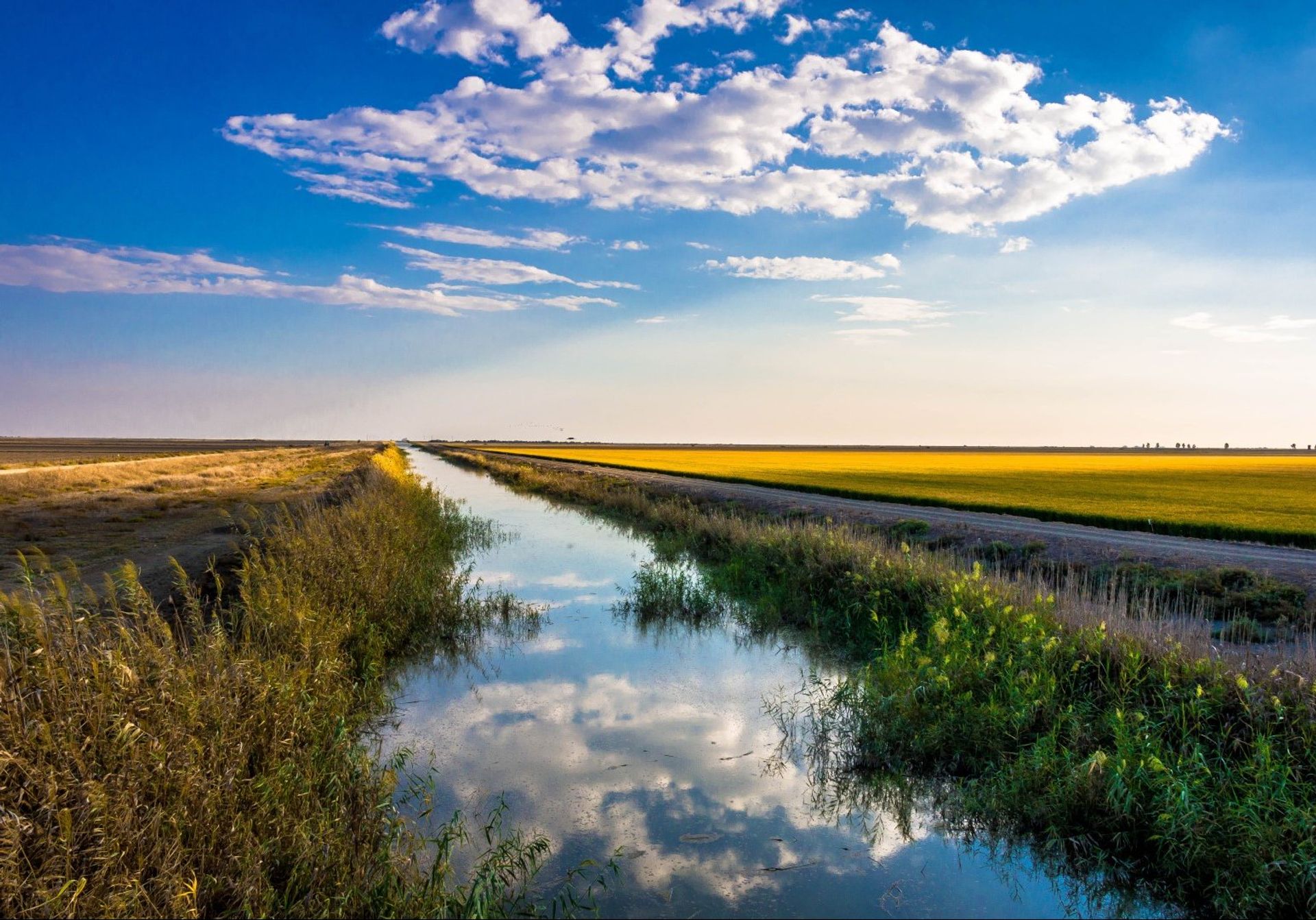 Visit Doñana National Park in Huelva for its wetlands, coastal dunes and 20th century palace