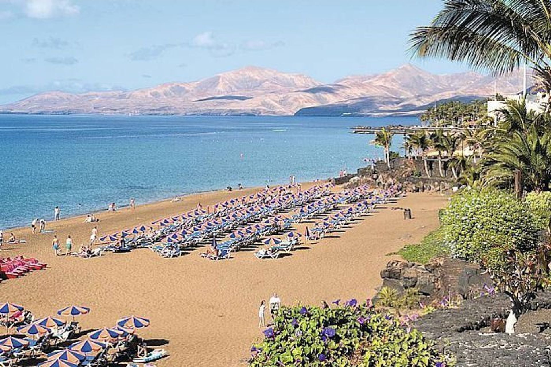 Discover our luxury properties right by the beach