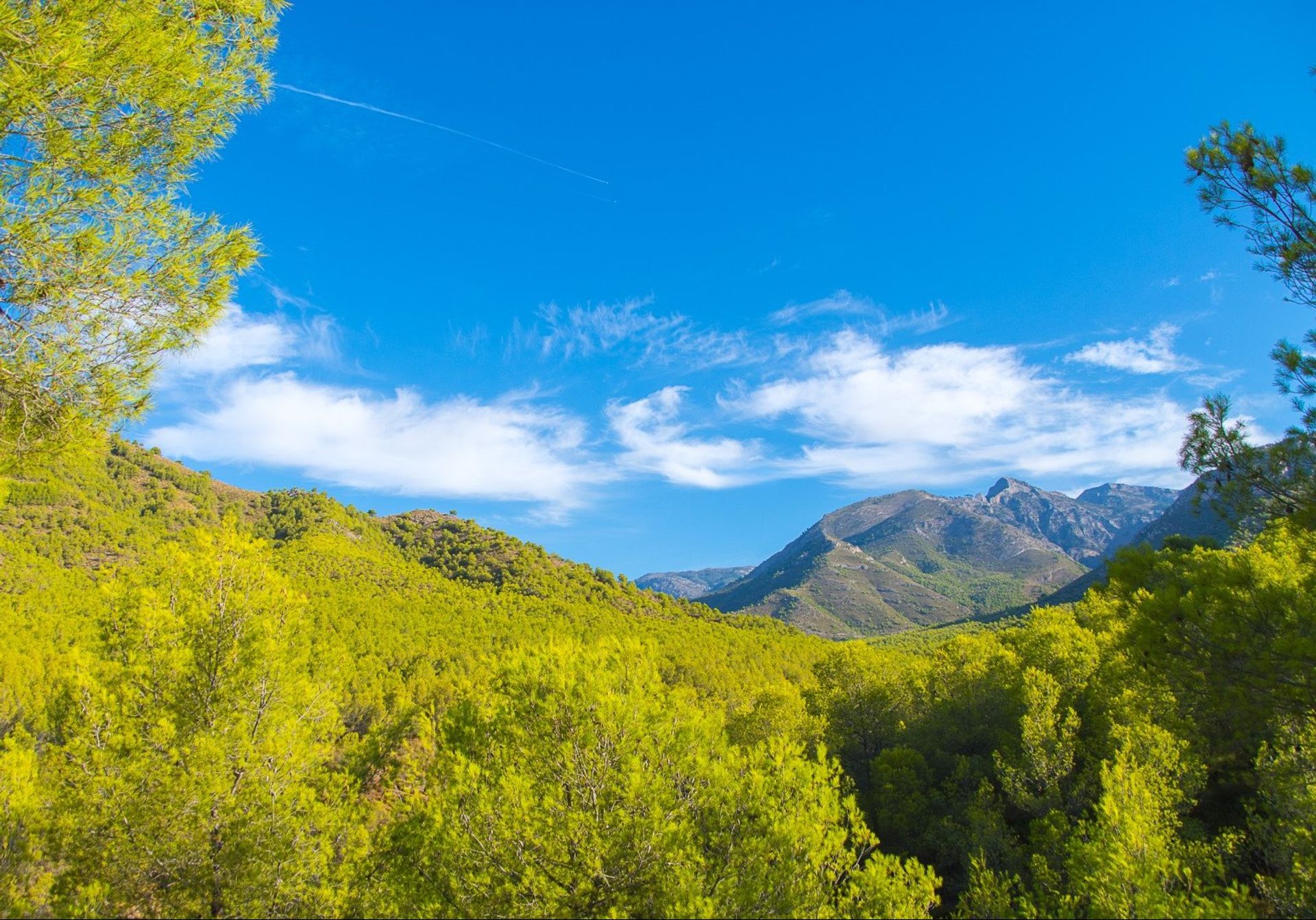 The lush greenery of Sierra de Tejeda national park stretches along the western region of the Costa Tropical