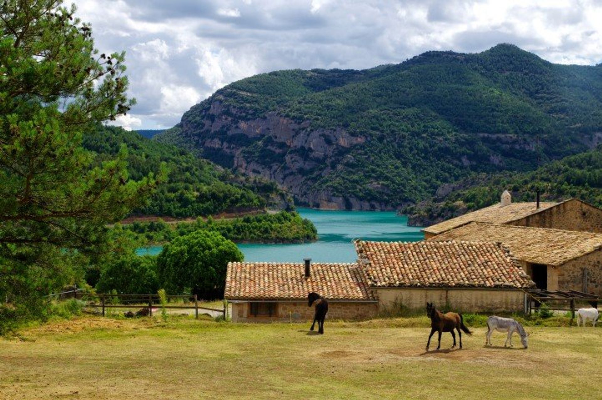 Lipica Stud Farm by Llosa del Cavall lake, Lleida Province, is one of the oldest in the world