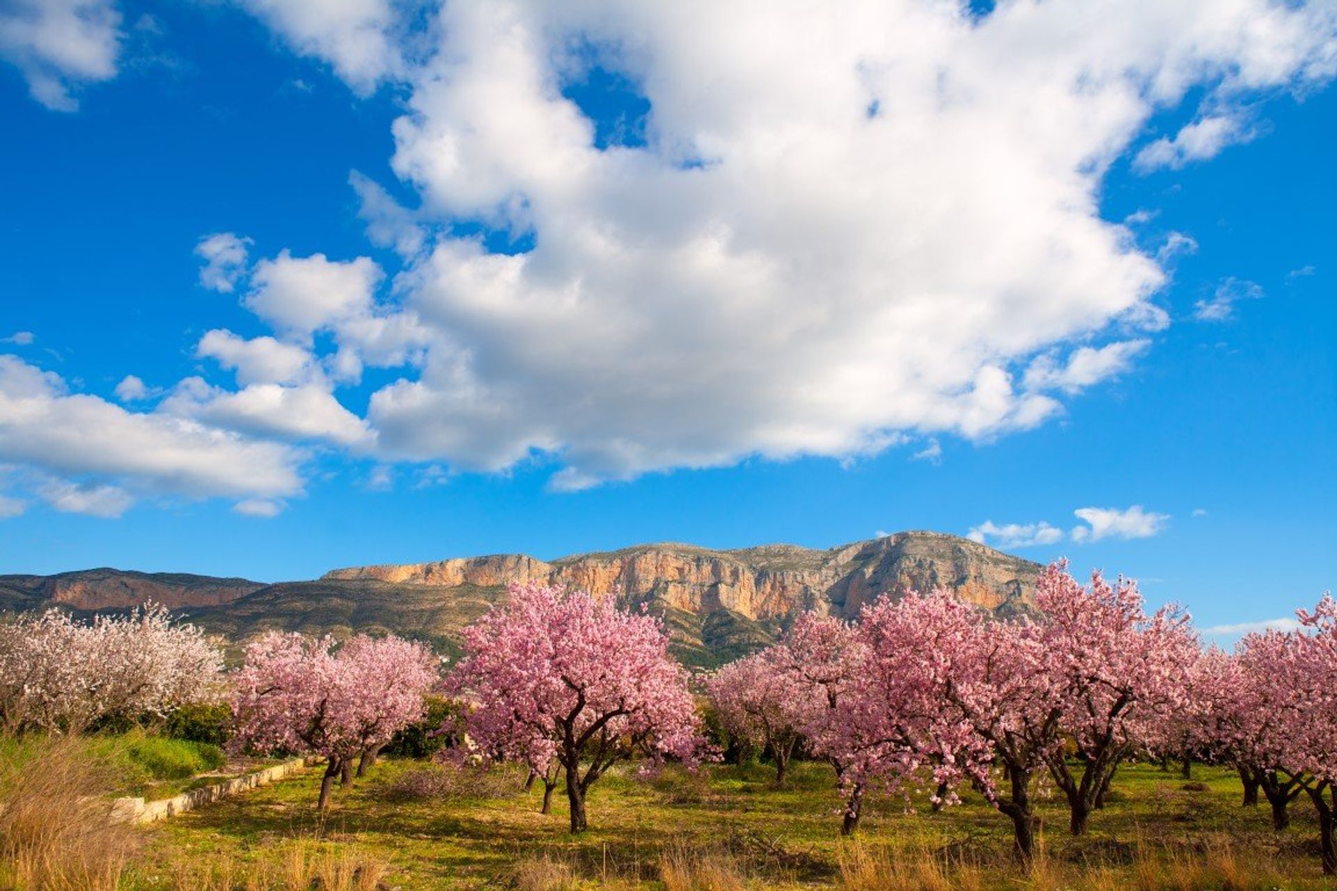 Postcard-perfect! UNESCO site Montgo Natural Park lies between Denia and Javea