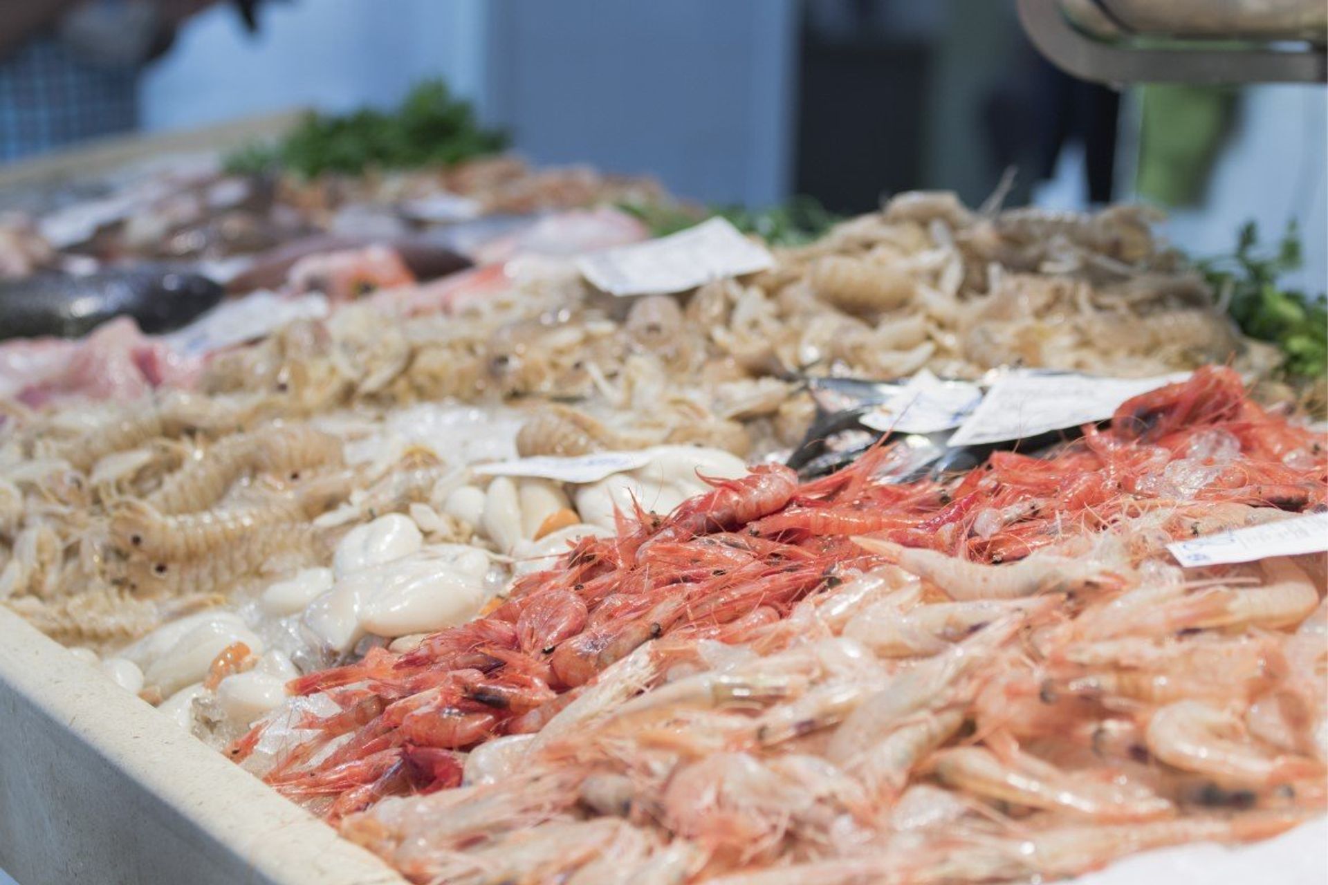 Denia is known for its delicious seafood restaurants and fish market. Watch the catch of the day being brought brought in!