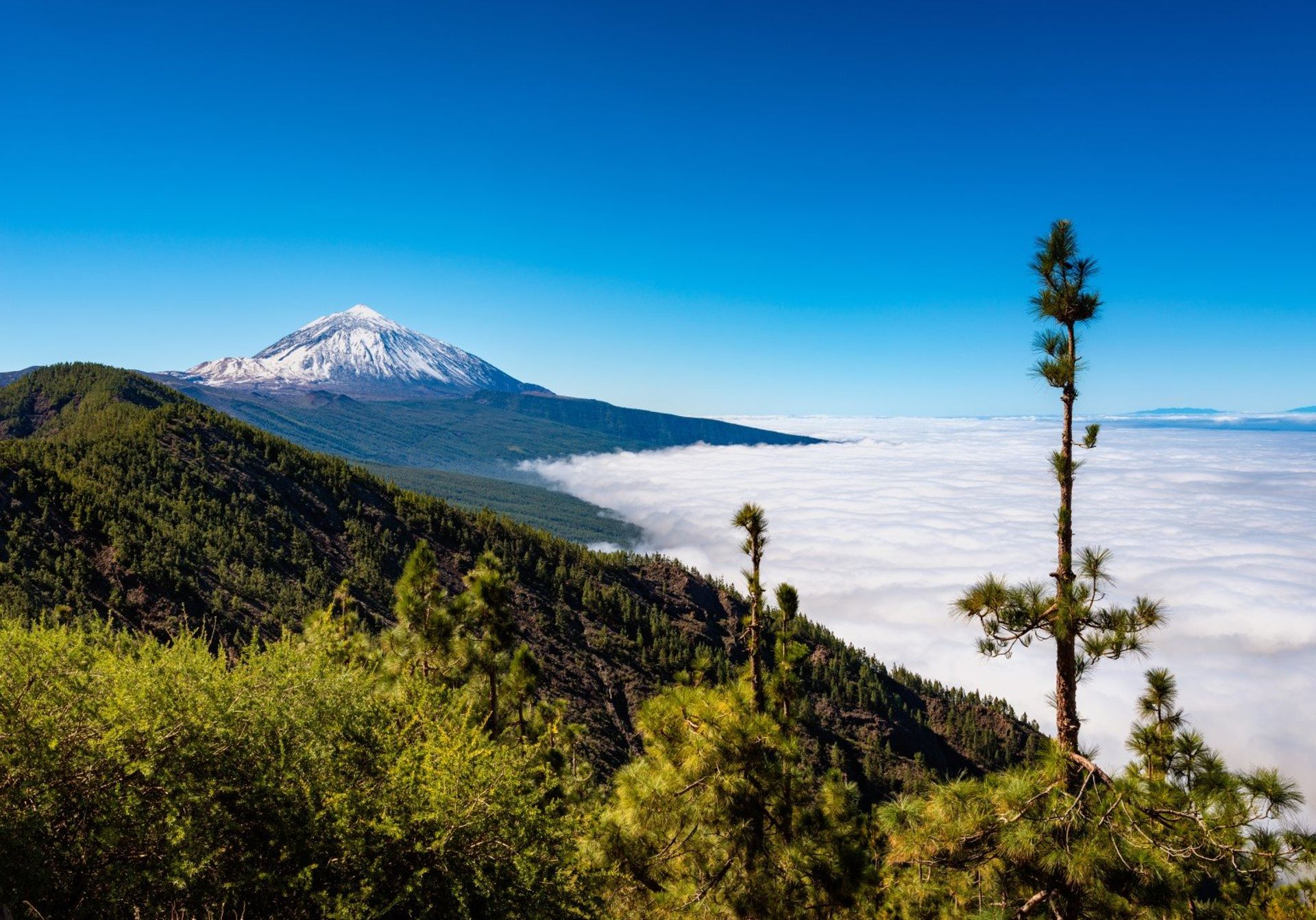 Tenerife is one of very few places in Spain where you can go skiing in the morning and hit the beach in the afternoon