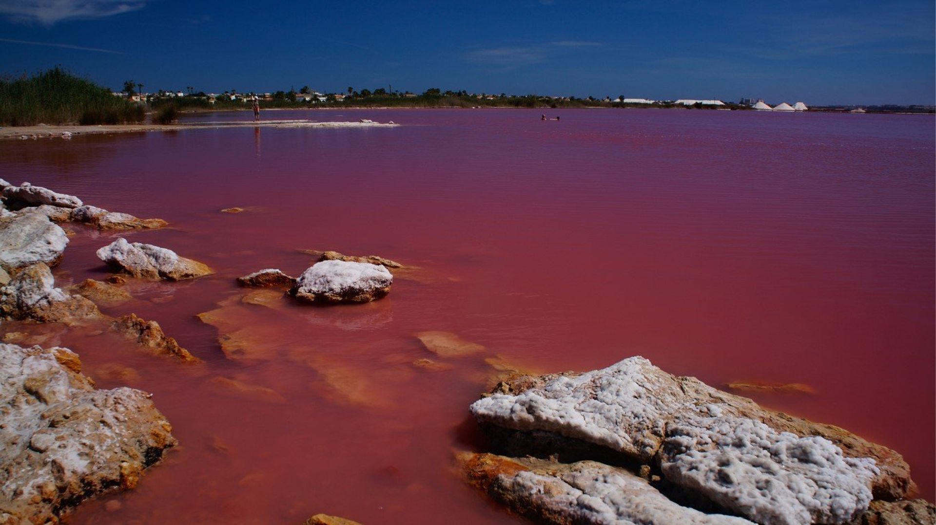 Torrevieja is famous for its two cleansing saltwater lakes; one pink and the other green