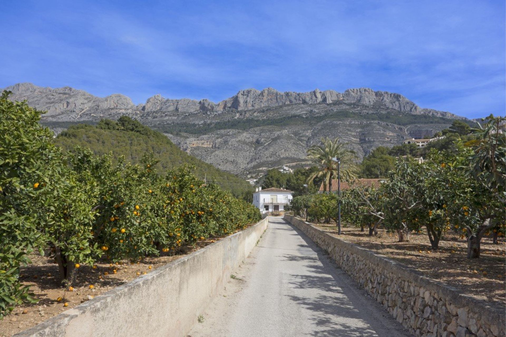 Altea is the perfect place to hire a bike, with its many scenic cycling routes overlooking the mountains and Mediterranean