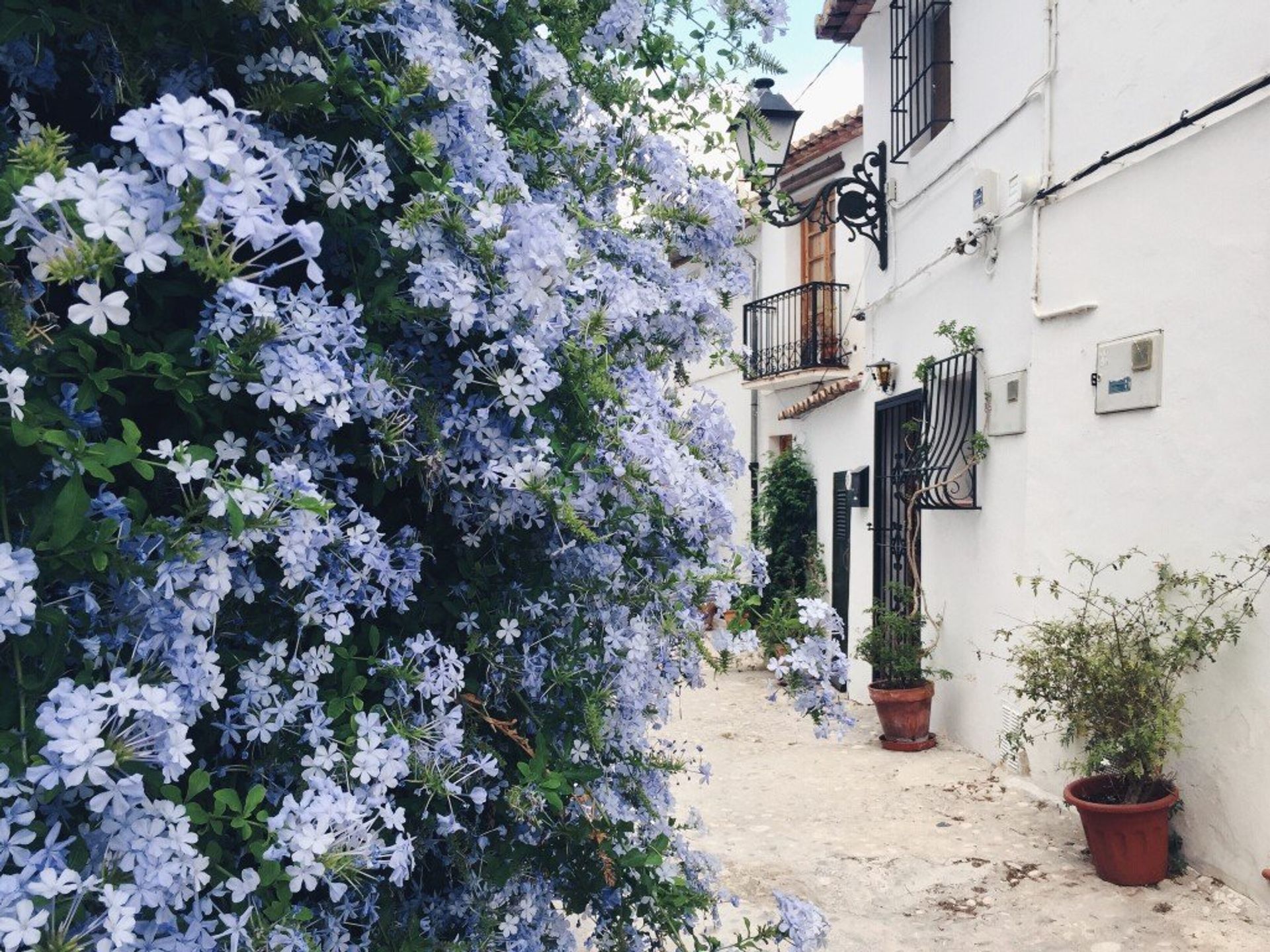 Altea is filled with the scent of blossom, from the alleyways of the old town to the beautiful bouquets sold on market day