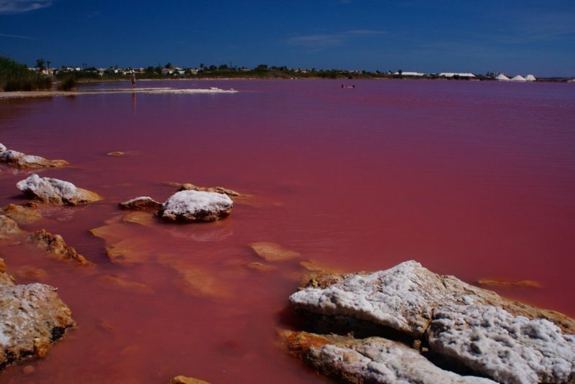 With an about 25 minute drive from Algorfa, Torrevieja is famous for its two cleansing saltwater lakes; one pink and the other green