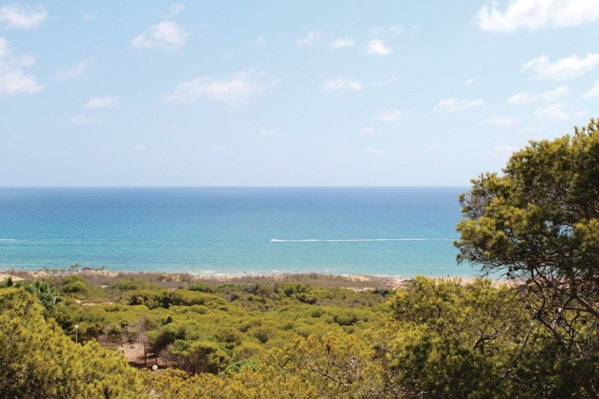 Guadarmar's landscape is a mix of sand dunes, forests and exotic flora and fauna