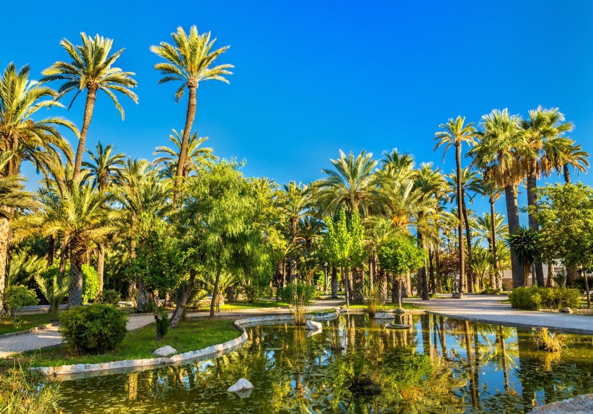 The Palmeral of Elche, just a 30 minute drive from Rojales, is a UNESCO World Heritage Site