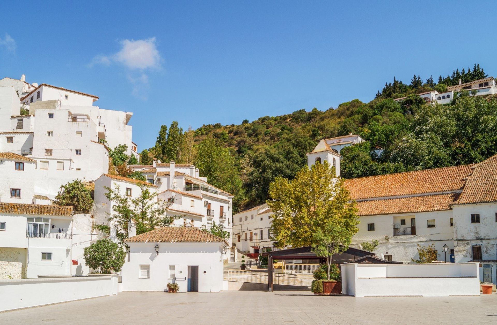  Delight in the charms of a traditional Andalucian village, with whitewashed houses scattered along Casares' old town.