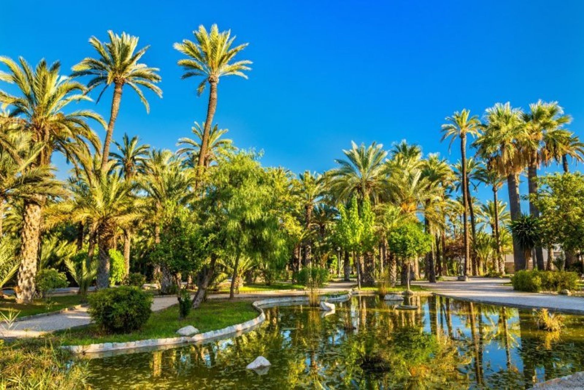 Only 20 minutes away from Gran Alacant, Elche Palmeral is home to over 200,000 palm trees