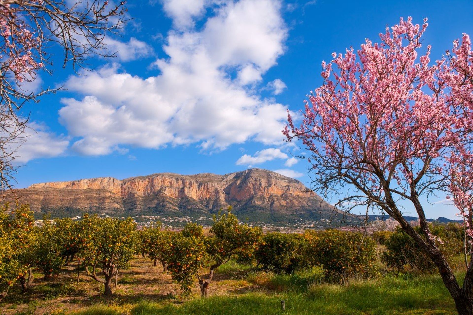 Montgo National Park in Denia offers the perfect landscape for hikers and cyclists, providing a beautiful backdrop to the resort