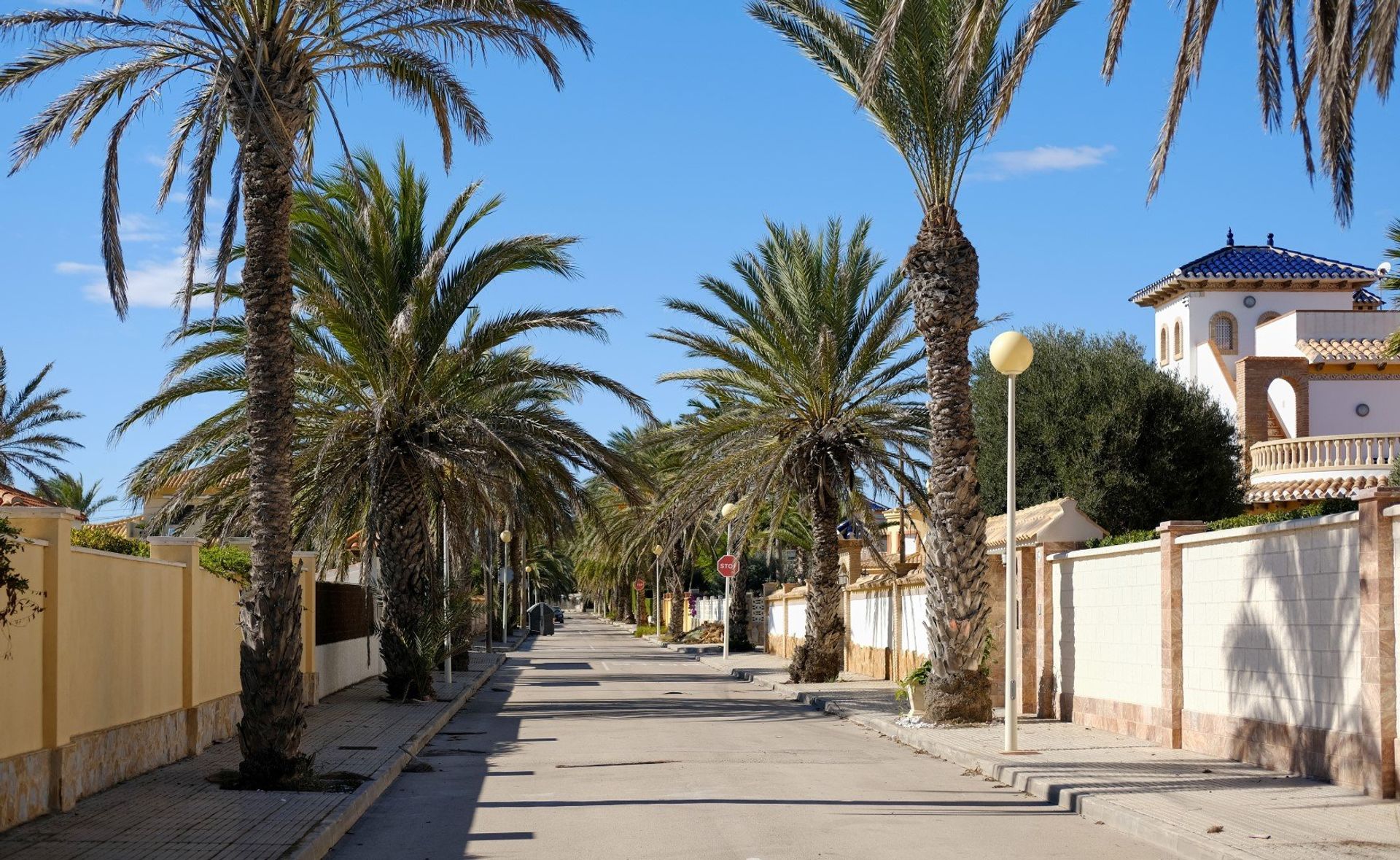Stroll down palm-lined avenues caressed by the Mediterranean sun